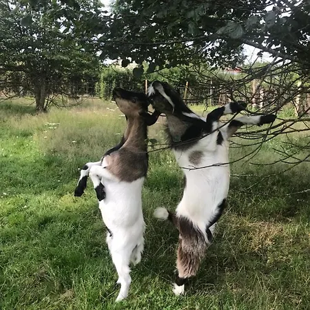 La Longere De Cabanès
