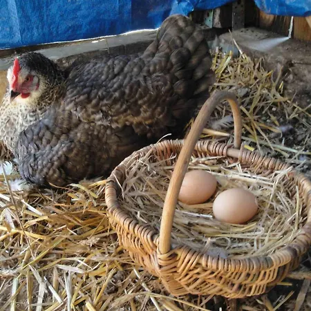 La Longere De ゲストハウス Cabanès