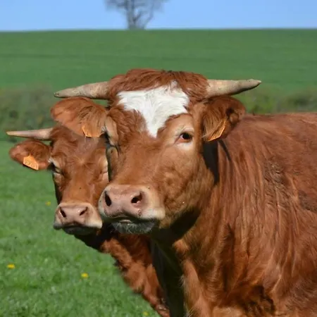 La Longere De Guest house Cabanes (Tarn)