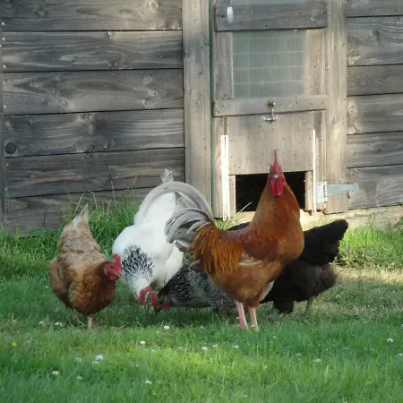 La Longere De Guest house 3*