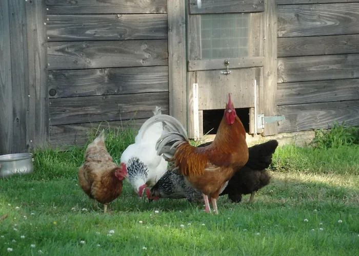 La Longere De Casa de hóspedes 3*